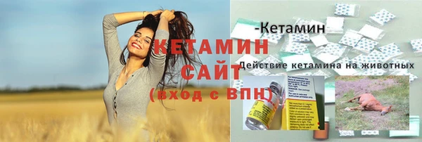 дживик Арсеньев