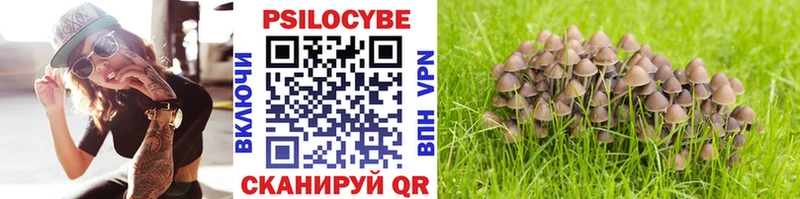 где купить Спас-Деменск Галлюциногенные грибы прущие грибы
